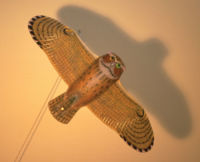 Cast Barn Owl by glass artist Michael Dupille