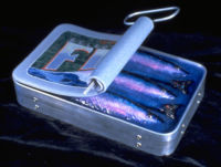 Fish Tin by glass artist Michael Dupille