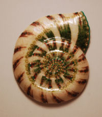 Nautilus Viridans by glass artist Michael Dupille