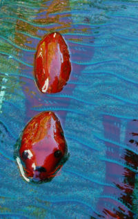 Red seals-detail1 by glass artist Michael Dupille