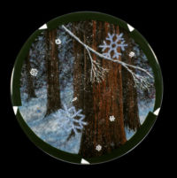 Redwood Winter by glass artist Michael Dupille