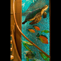Yacht Detail Turtle 1 by glass artist Michael Dupille